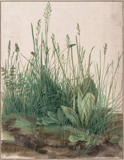 大きな芝生 作： Albrecht Dürer