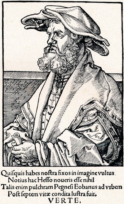 Eobanum Hess、1527 1906 作： Albrecht Dürer