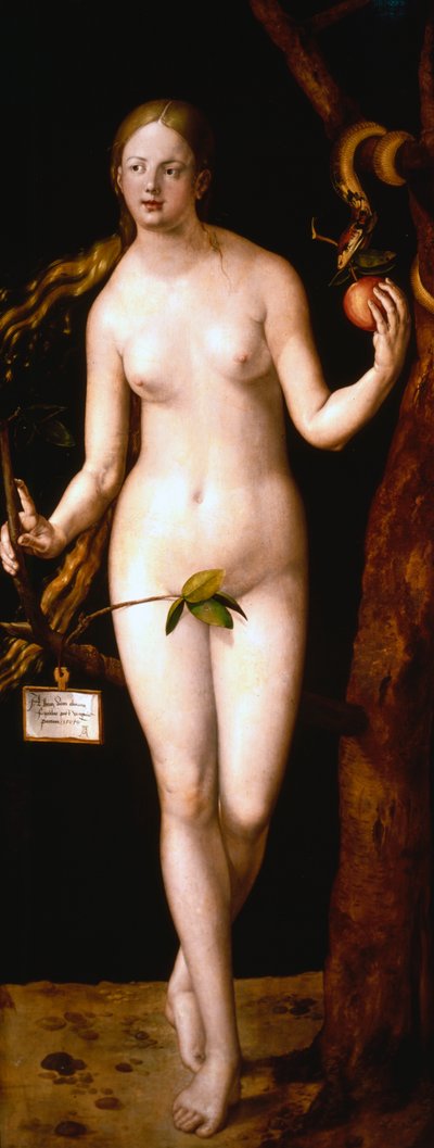 イブ、1507 作： Albrecht Dürer
