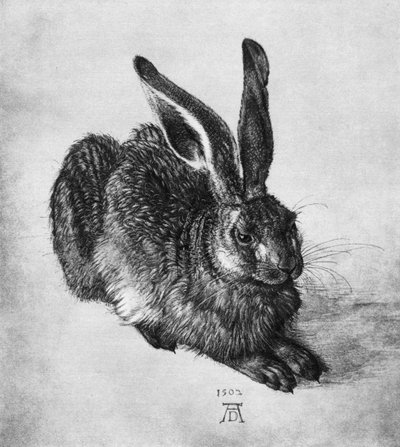 うさぎ、1502、1936 作： Albrecht Dürer