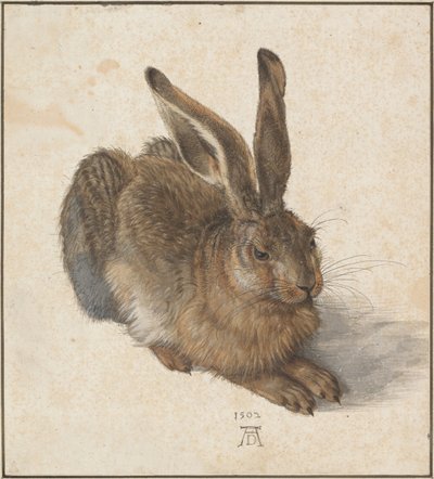 ヘアー、1502年 作： Albrecht Dürer