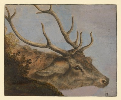 ヒルシュコプフ 作： Albrecht Dürer