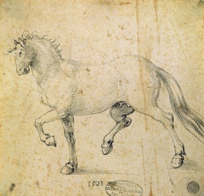 馬、1503（紙にペンとインク） 作： Albrecht Dürer