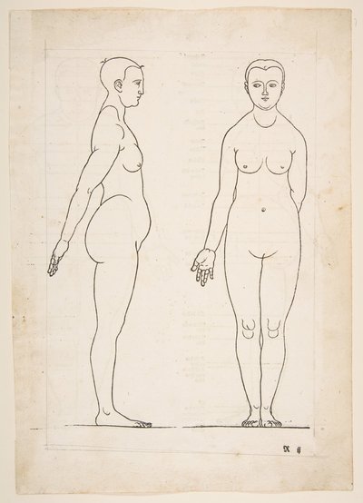 デューラーの「人間の比率に関する 4 冊の本」からの図解、ニュルンベルク、1528.n.d. 作： Albrecht Dürer