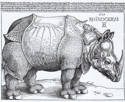 ラテン語  Rhinocerus サイ 作： アルブレヒト・デューラー