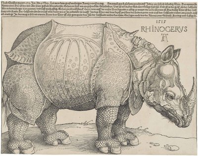 ラテン語  Rhinocerus サイ 作： アルブレヒト・デューラー