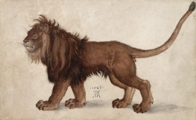 ライオン、1521年。 作： Albrecht Dürer