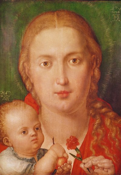 カーネーションのマドンナ、1516 作： Albrecht Dürer