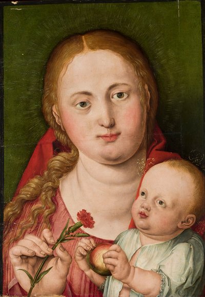 幼子イエスを抱くマドンナとカーネーション 作： Albrecht Dürer