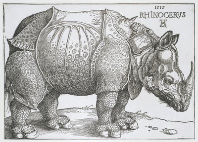 ノイショールン Rhinocerus (オブジェクトのタイトル) 作： Albrecht Dürer
