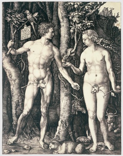 原罪 作： Albrecht Dürer