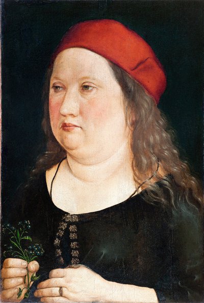 男の肖像、1497 作： Albrecht Dürer