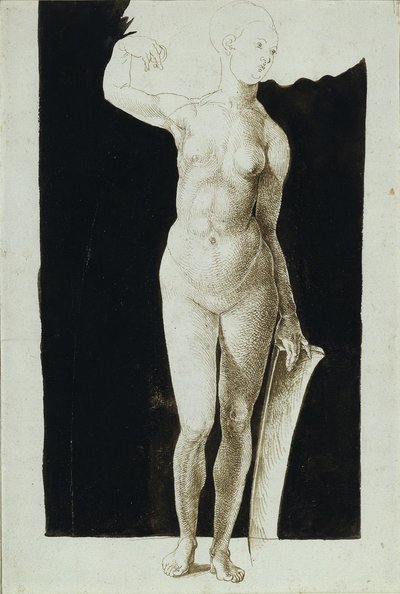 シールド付き女性ヌードの比率調査、1500 作： Albrecht Dürer