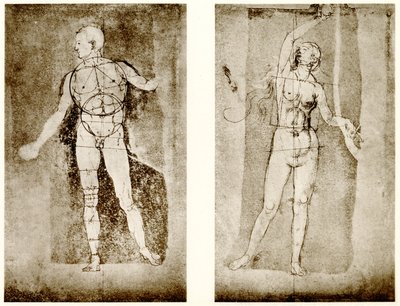アダムとイブに関する比率研究 作： Albrecht Dürer