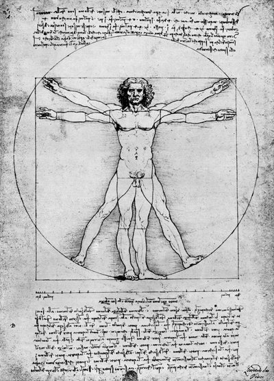人物の比率、c1492、1936 作： Albrecht Dürer
