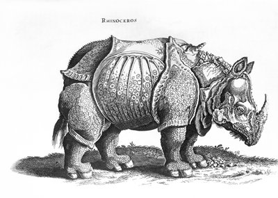 Rhinoceros、no.76 from &39;Historia Animalium&39; by Conrad Gesner（1516-65）掲載された1815年7月 作： Albrecht Dürer