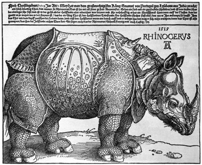 リスボンの王、マクシミリアン1世に与えられた版画、1515年、1936年 作： Albrecht Dürer