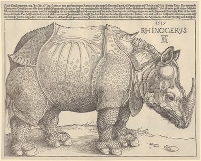  作： Albrecht Dürer