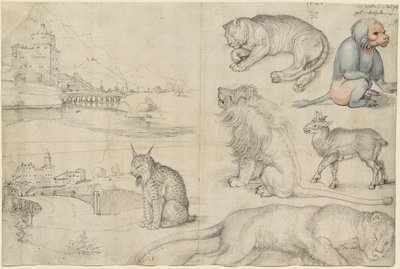 動物と風景のスケッチ、1521年。 作： Albrecht Dürer
