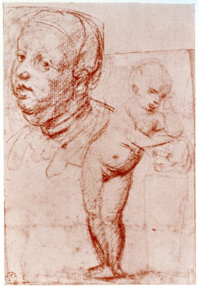 研究、1913。 作： Albrecht Dürer