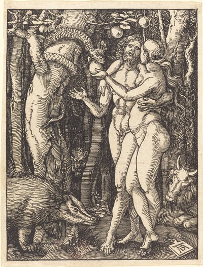 人間の堕落 作： Albrecht Dürer