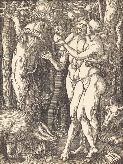 人間の堕落、おそらくc。 15091510。 作： Albrecht Dürer