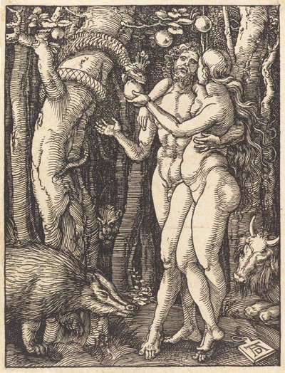 人間の堕落、おそらくc。 15091510。 作： Albrecht Dürer