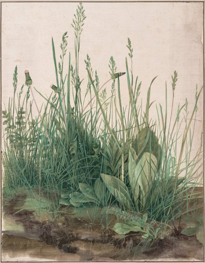 芝の大部分、1503 作： Albrecht Dürer