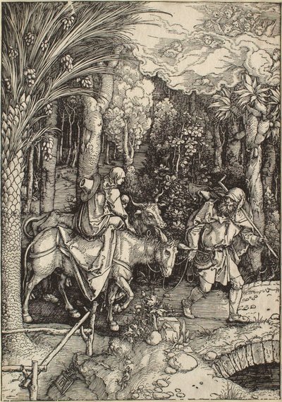  作： Albrecht Dürer