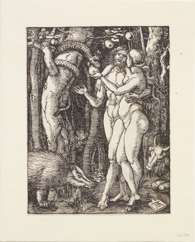  作： Albrecht Dürer