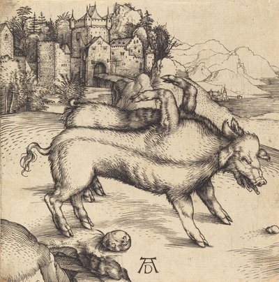 ランザーの巨大な豚、おそらく 1496 年。 作： Albrecht Dürer