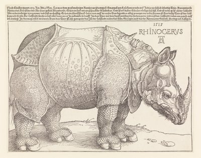 サイ 作： Albrecht Dürer