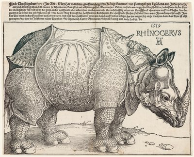 サイ 作： Albrecht Dürer