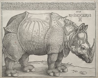 サイ 作： Albrecht Dürer