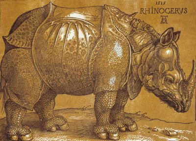 サイ、1515年。 作： Albrecht Dürer