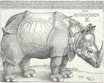 サイ、1515年、1515年。 作： Albrecht Dürer