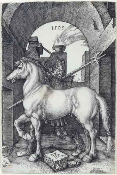 小さな馬、1505 作： Albrecht Dürer