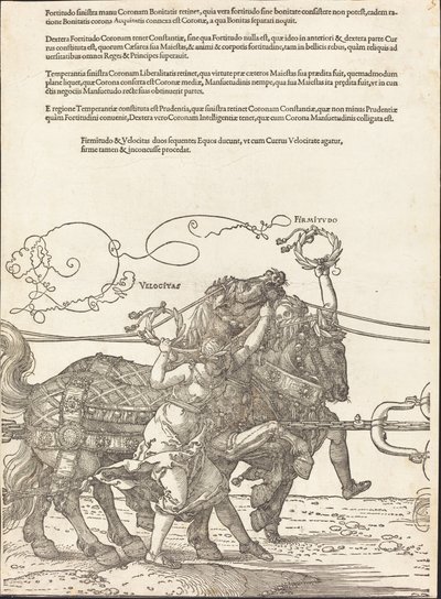 マクシミリアン 1 世の凱旋戦車 (偉大な凱旋車) [プレート 5/8] 作： Albrecht Dürer
