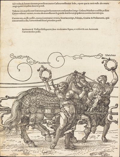 マクシミリアン 1 世の凱旋戦車 (偉大な凱旋車) [プレート 6/8] 作： Albrecht Dürer