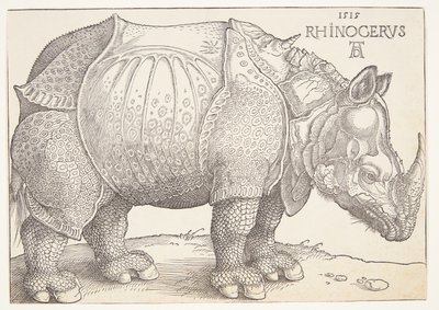 サイ 作： Albrecht Dürer