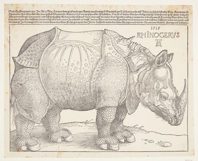 サイ 作： Albrecht Dürer