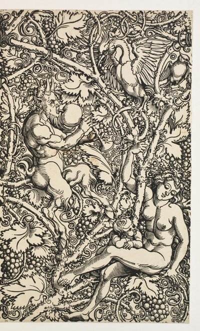 サテュロス族のタペストリーの 2 つのデザイン 作： Albrecht Dürer