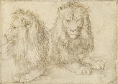 1521着席のライオン2匹 作： Albrecht Dürer