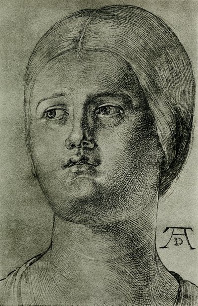 ヴェネツィアの女性の頭 作： Albrecht Dürer