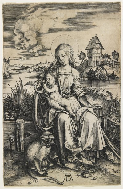 猿の聖母子c。 1498年 作： Albrecht Dürer