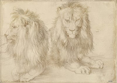 2つの横になっているライオン。 1521 作： Albrecht Dürer