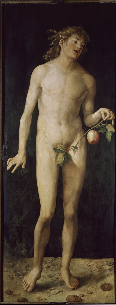 アダム（木に油 作： Albrecht Dürer