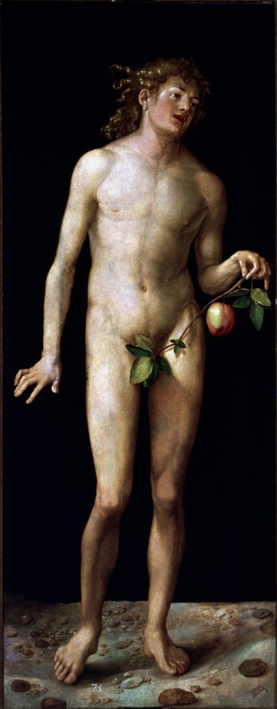  作： Albrecht Dürer or Duerer