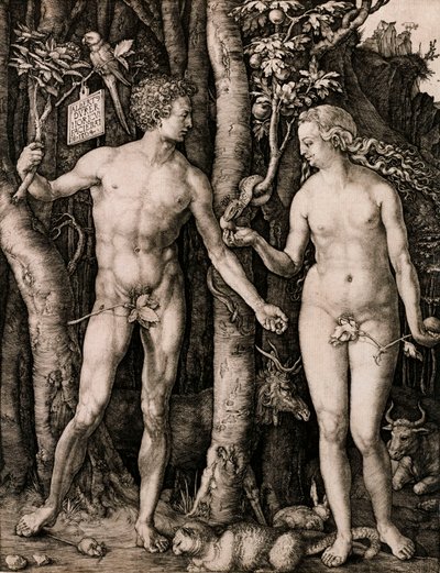 アダムとイブ 作： Albrecht Dürer