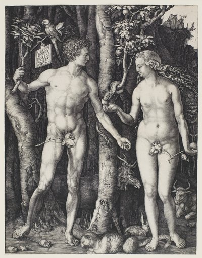 アダムとイブ 作： Albrecht Dürer